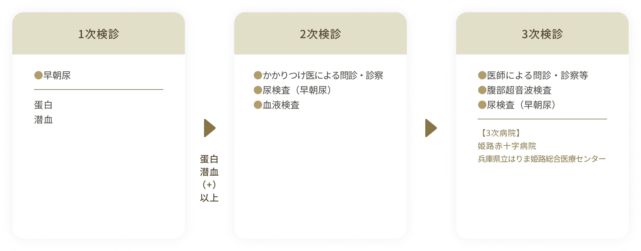 姫路市での学校検尿のながれ?【腎臓病】