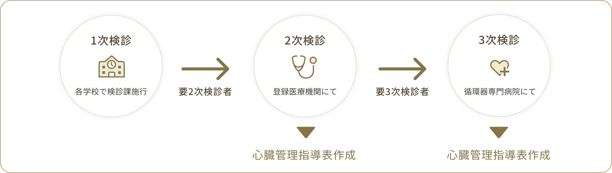 心臓検診の流れ